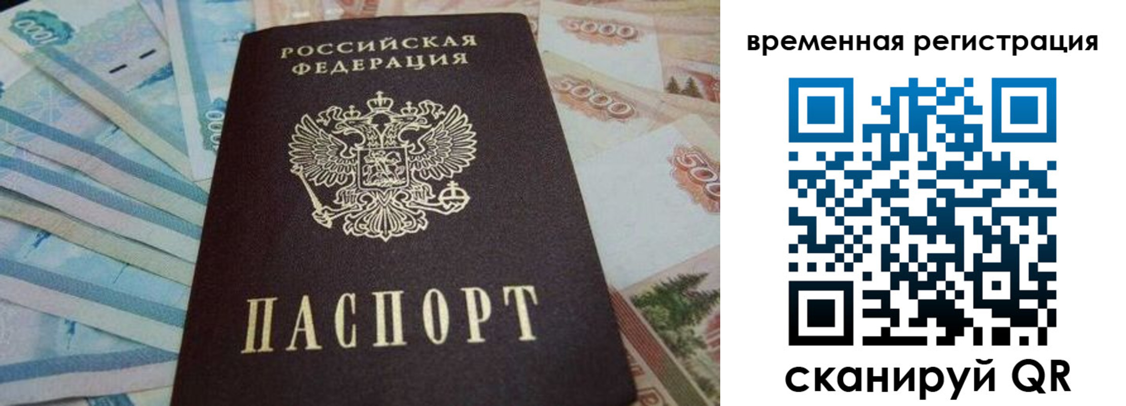 временная регистрация гарантия в Невеле